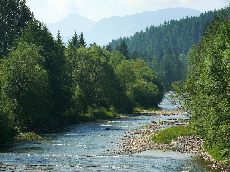 Rzeka Czarny Dunajec na Podhalu